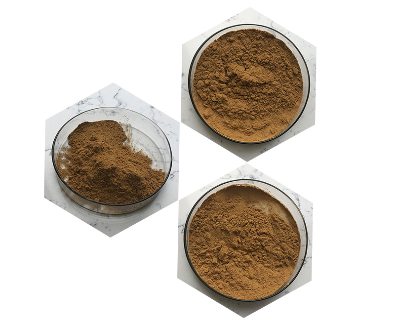 Yerba Mate Extract