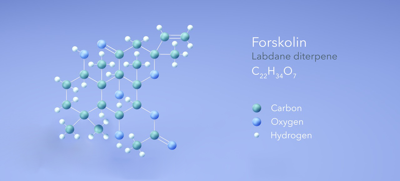 Forskolin