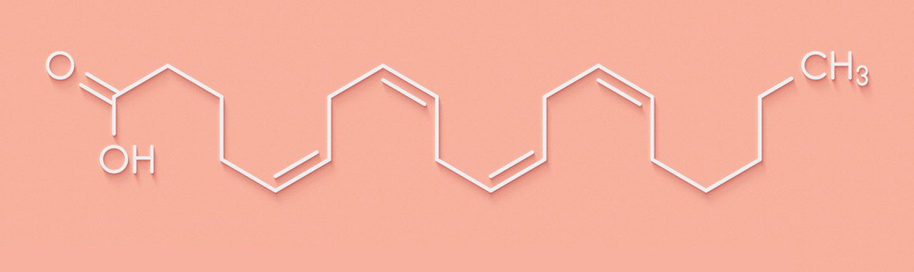 Arachidonic Acid