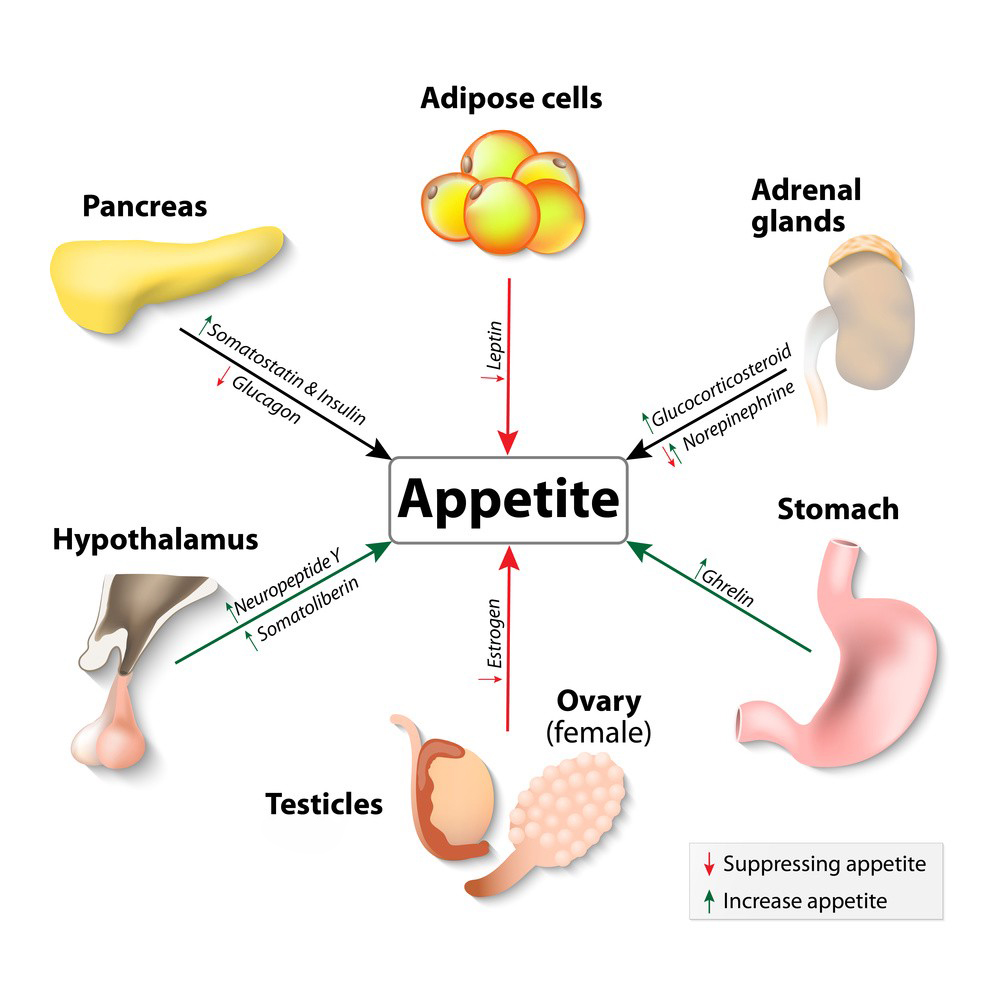 Ashwagandha Extract