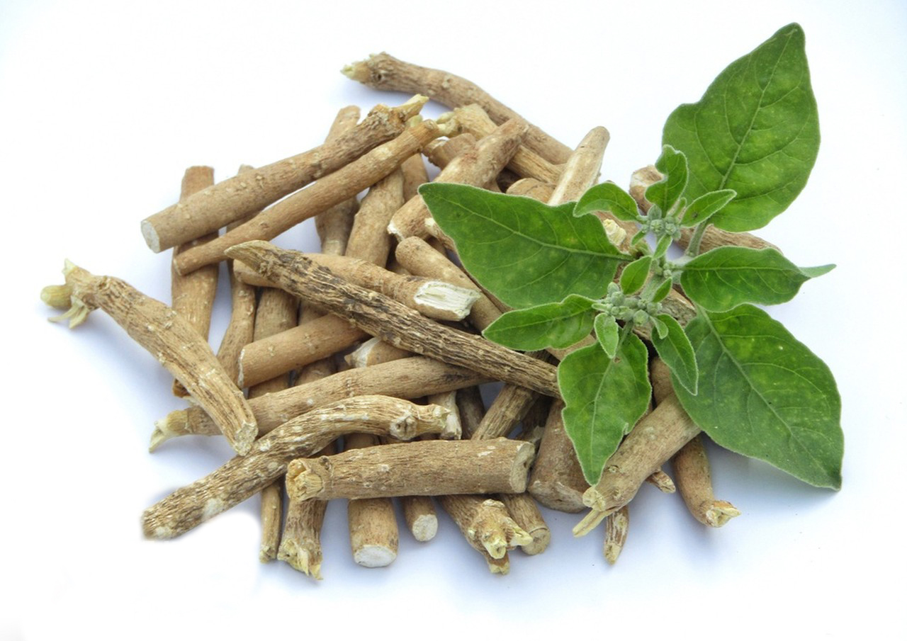 Ashwagandha Extract