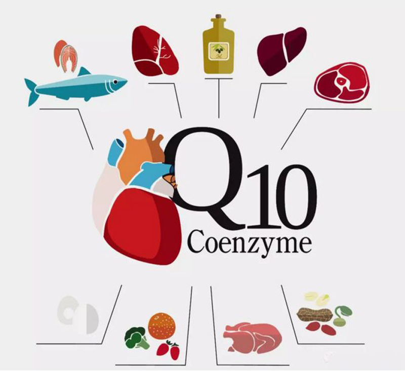 Coenzyme Q10