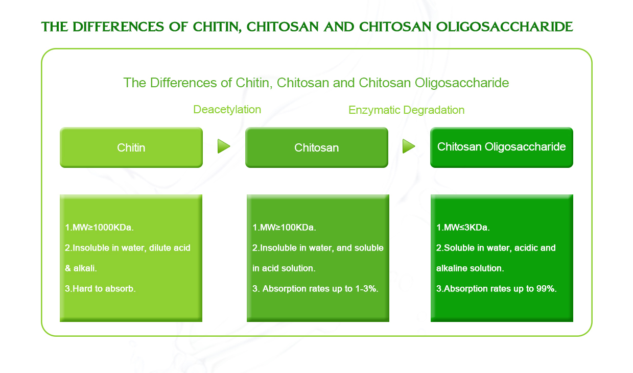 Chitosan