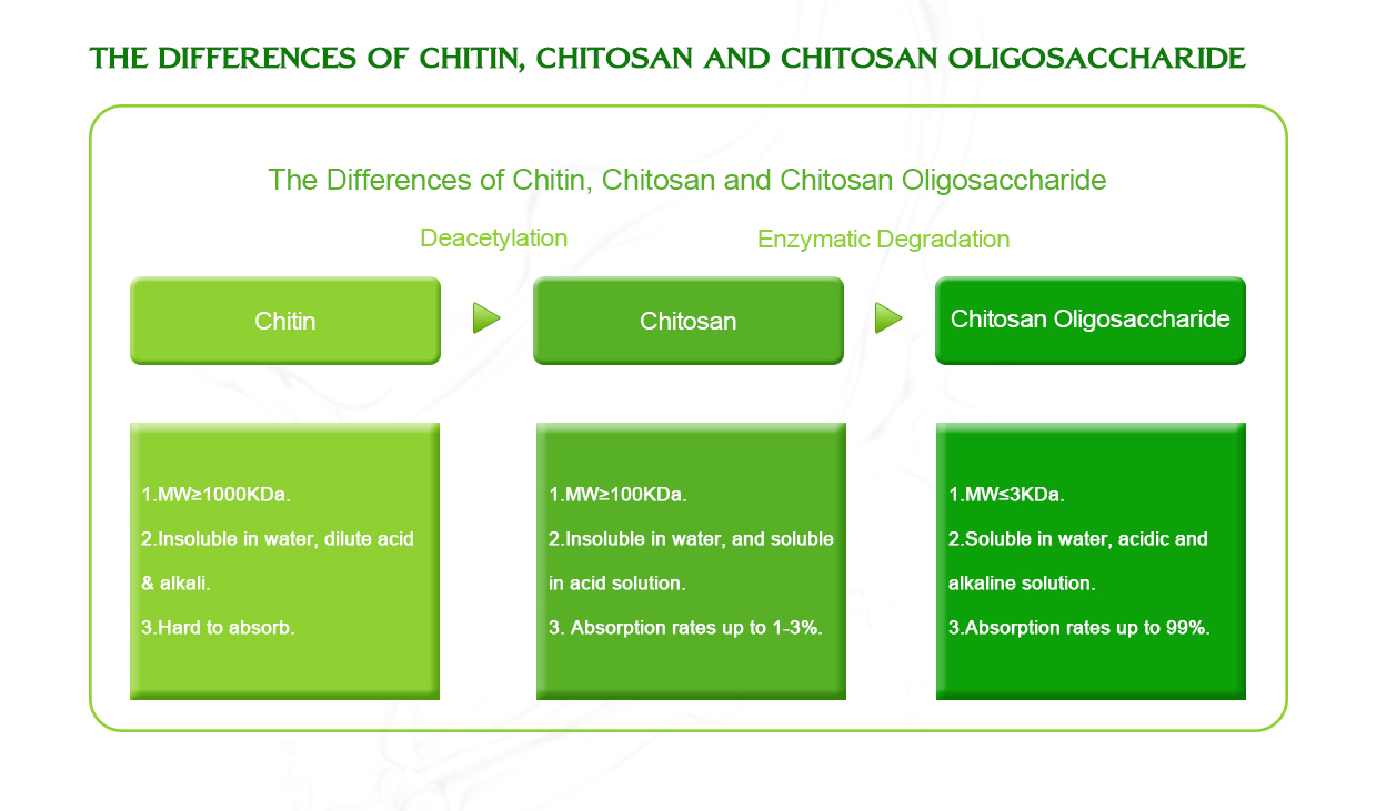 Chitosan Oligosaccharide