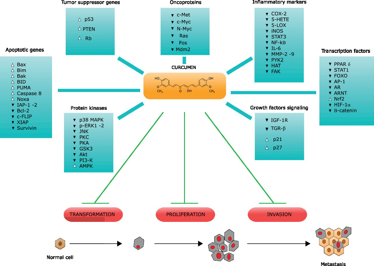 Curcumin