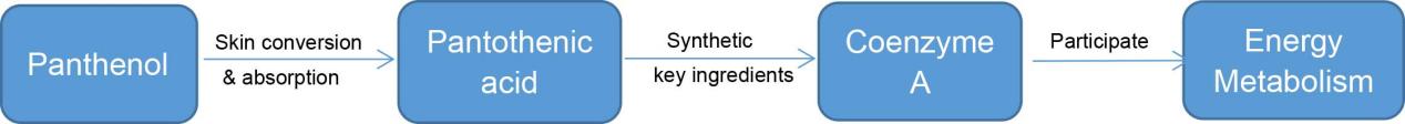 D-Panthenol