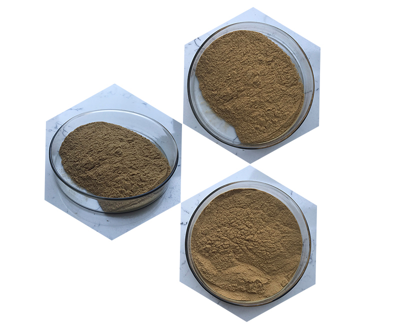 Ginseng Extract