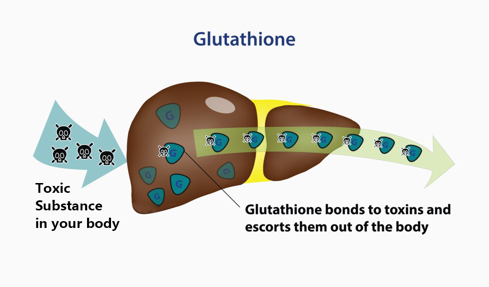 Glutathione