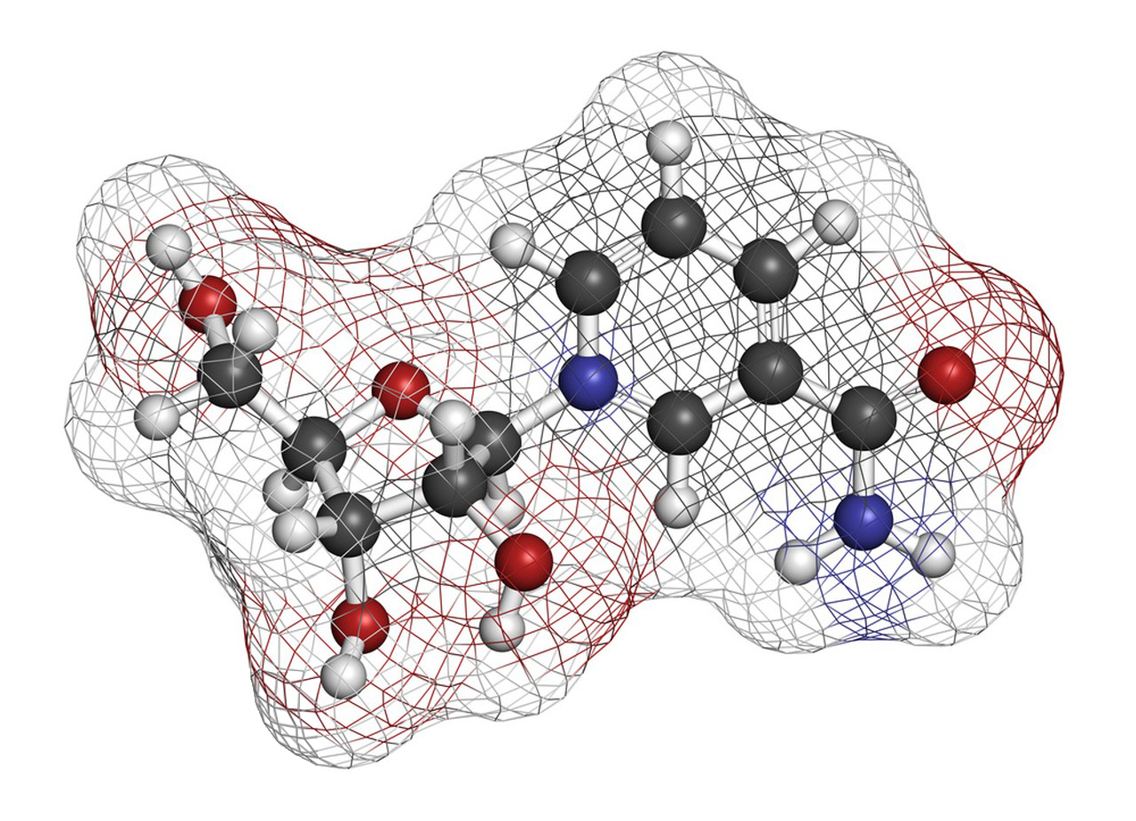 Nicotinamide Riboside