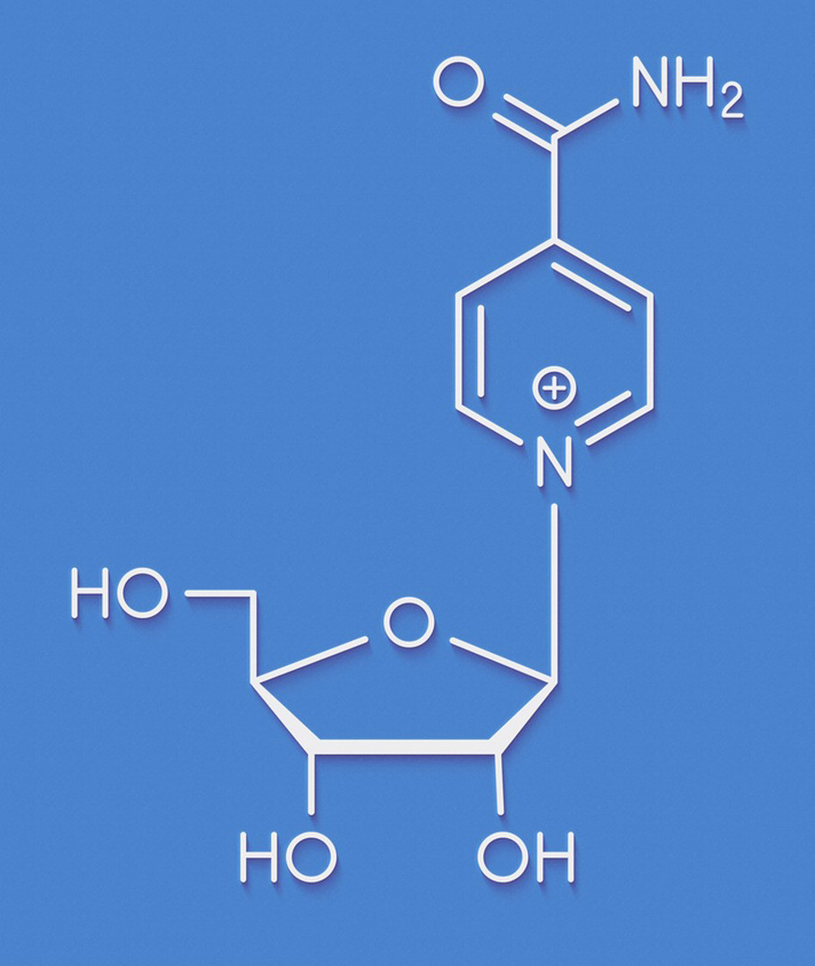 Nicotinamide Riboside