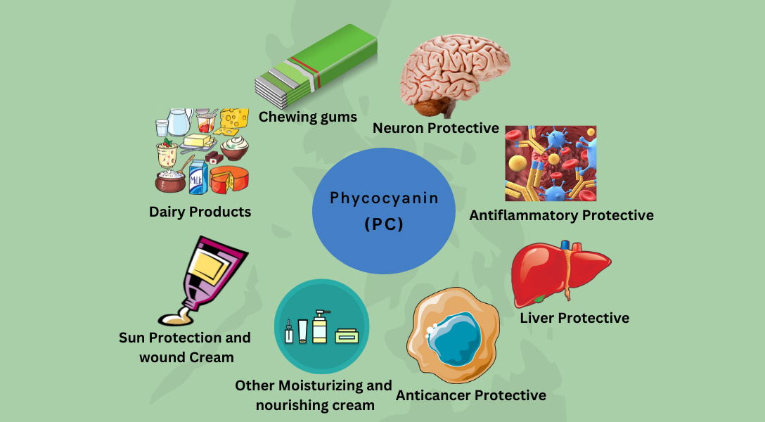 Phycocyanin