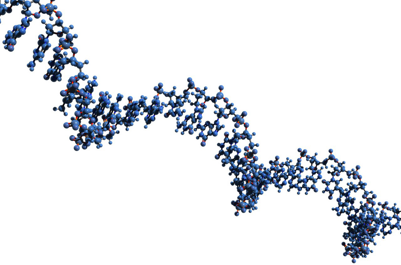 Ribonucleic Acid