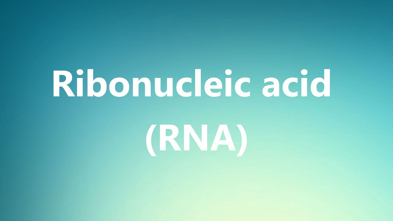 Ribonucleic Acid