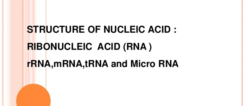 Ribonucleic Acid